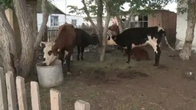 Zakon.kz, фото - Новости Zakon.kz от 19.06.2015 12:40