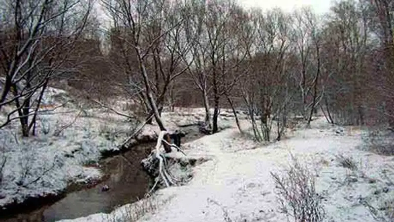В Москве в пойме реки найдено тело 32-летней гражданки Казахстана, фото - Новости Zakon.kz от 25.11.2013 15:20