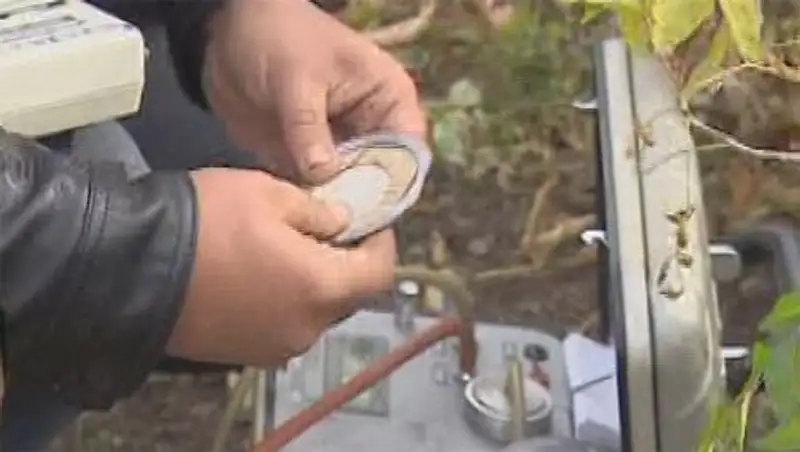 Ученые выдвинули новую версию о происхождении «сонной» болезни в Калачи