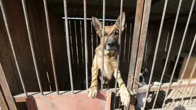 zakon.kz / Павел Михеев, фото - Новости Zakon.kz от 12.10.2021 10:02