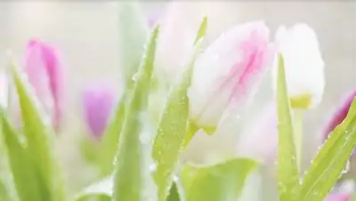 pxhere.com, фото - Новости Zakon.kz от 26.04.2021 12:18