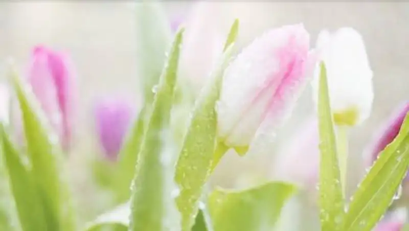 Погода резко изменится в Казахстане