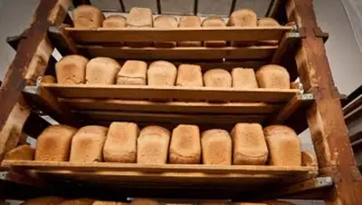 Zakon.kz, фото - Новости Zakon.kz от 18.08.2014 22:21