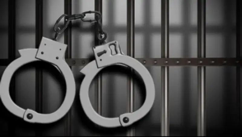 Два россиянина задержаны за незаконный провоз оружия на границе РК 