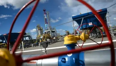 Zakon.kz, фото - Новости Zakon.kz от 01.08.2015 01:06