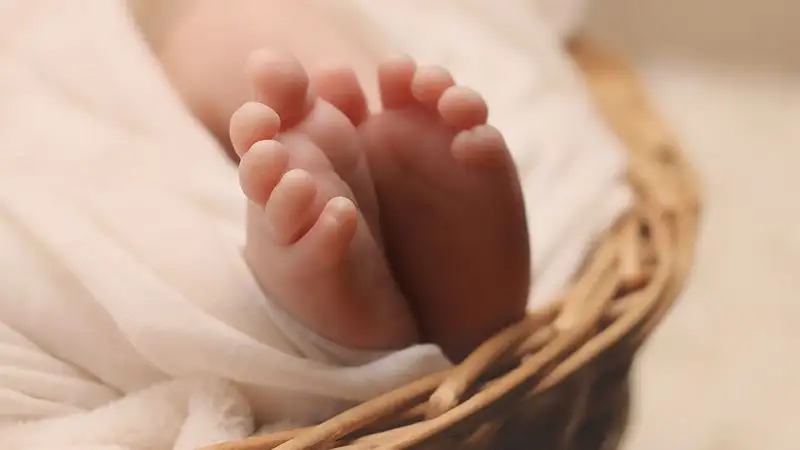 В Армении заявили, что 8-миллиардный человек родился в их стране