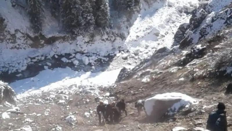 Спасатели эвакуировали пострадавшую в Алма-Арасане девушку