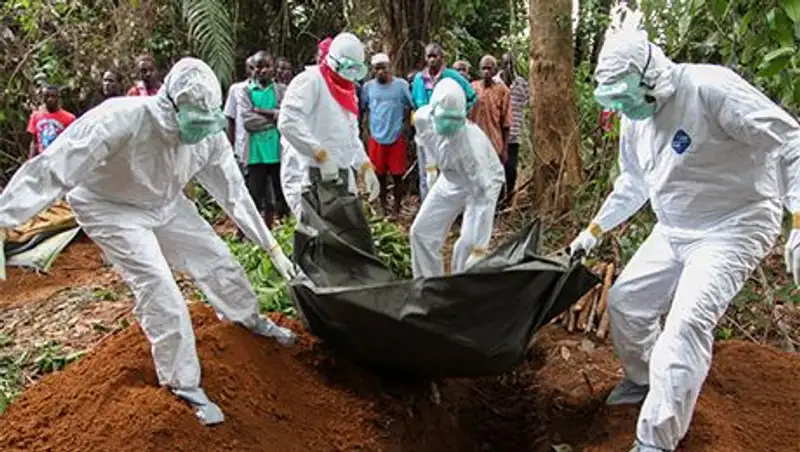 ВОЗ объявила вирус Эбола угрозой международного значения