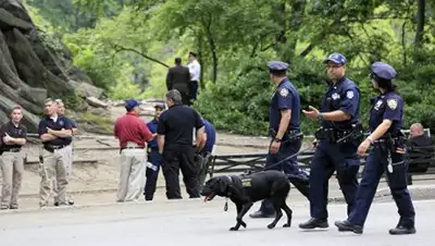 Zakon.kz, фото - Новости Zakon.kz от 05.07.2016 15:20