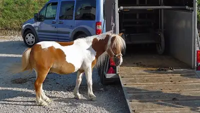 Zakon.kz, фото - Новости Zakon.kz от 03.07.2015 21:40