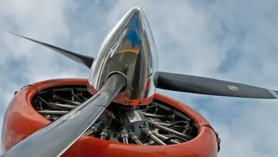 Zakon.kz, фото - Новости Zakon.kz от 25.08.2017 17:08