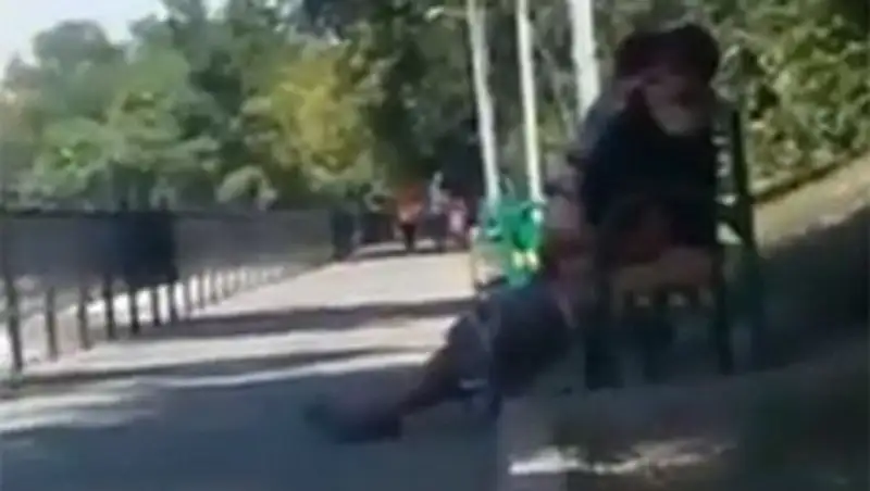 Занятие любвовью на скамейке в Алматы – видео взорвало интернет