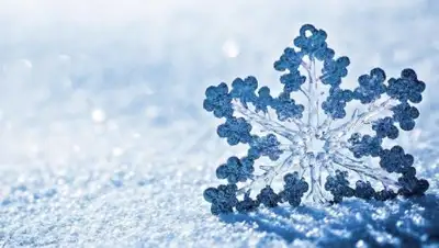 Hi-Tech, фото - Новости Zakon.kz от 18.02.2019 11:51