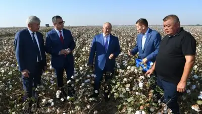 Самат Мырзалиев, фото - Новости Zakon.kz от 01.10.2018 17:52