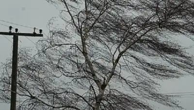 Zakon.kz, фото - Новости Zakon.kz от 20.11.2014 17:41