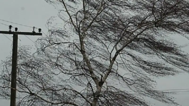 В ВКО сильный ветер сорвал крышу с сельской школы