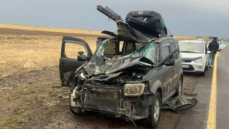 Лошадь спровоцировала смертельное ДТП: мужчина погиб на трассе в Жетысуской области