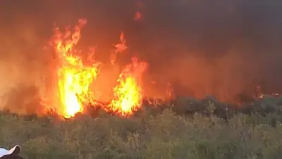 степь, фото - Новости Zakon.kz от 04.09.2022 13:06