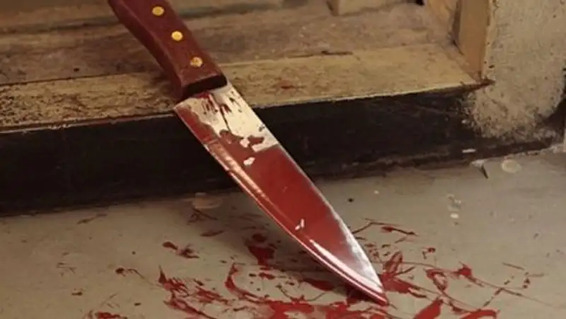 Двойное убийство произошло в СКО