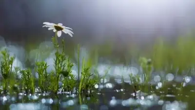 Zakon.kz, фото - Новости Zakon.kz от 10.08.2017 12:00