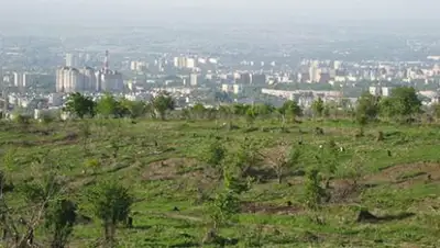 Zakon.kz, фото - Новости Zakon.kz от 17.08.2017 21:43