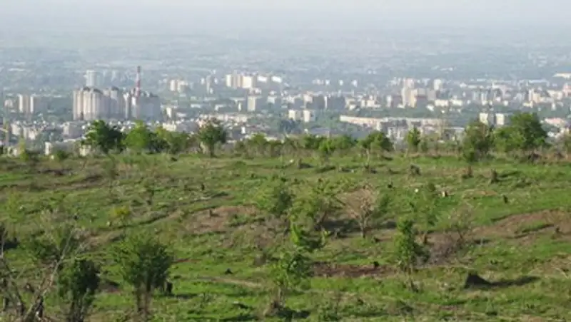 Минюст разработал законопроект по справедливому возмещению стоимости участков,изымаемых для госнужд