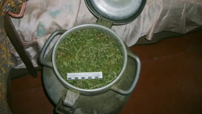 Полицейские Талдыкоргана изъяли у наркоторговца около 300 кг марихуаны