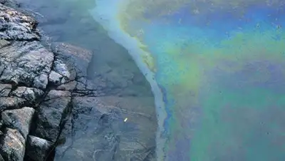 Zakon.kz, фото - Новости Zakon.kz от 03.03.2016 18:01