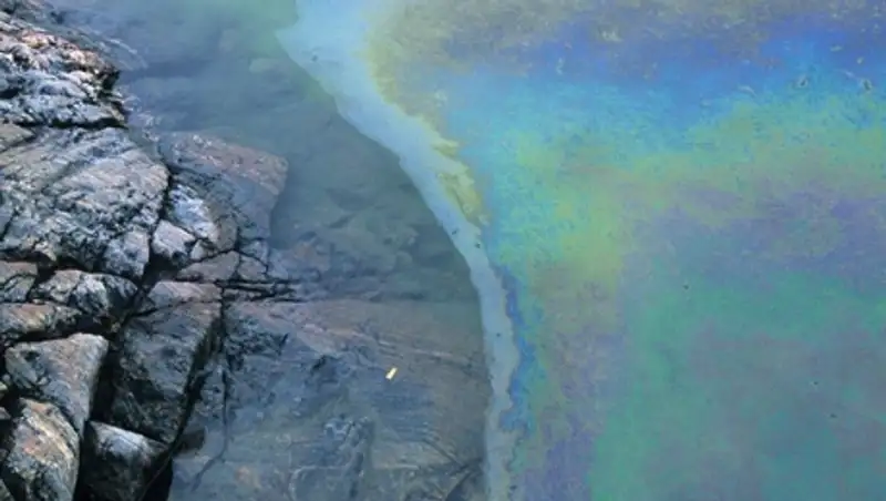 Экологи сообщают о крупном разливе нефти на Сахалине