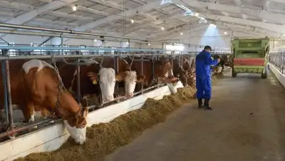 Zakon.kz, фото - Новости Zakon.kz от 28.08.2017 14:30