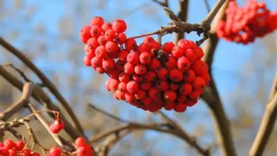 Zakon.kz, фото - Новости Zakon.kz от 21.11.2014 14:25