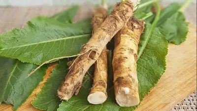 kun.uz, фото - Новости Zakon.kz от 22.07.2020 08:58