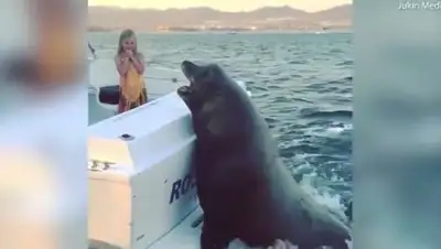 Zakon.kz, фото - Новости Zakon.kz от 25.06.2017 20:17