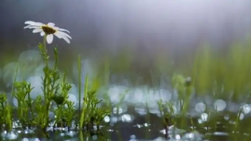 На западе Казахстана ожидаются сильные дожди