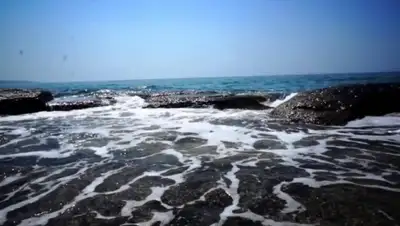 Zakon.kz, фото - Новости Zakon.kz от 18.04.2016 13:05