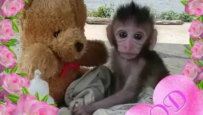 соцсети, фото - Новости Zakon.kz от 10.03.2018 20:52