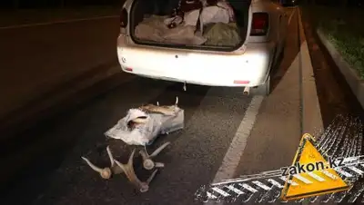 zakon.kz, фото - Новости Zakon.kz от 04.05.2018 06:29