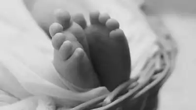 pixabay.com, фото - Новости Zakon.kz от 02.08.2021 09:38