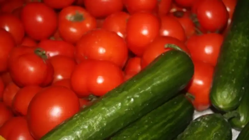 В Таразе появилось новое крупное овощехранилище