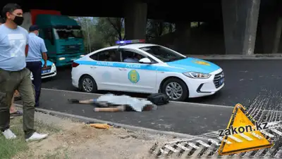 zakon.kz, фото - Новости Zakon.kz от 29.07.2020 19:35