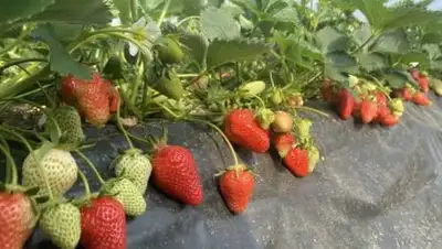 ria.ru, фото - Новости Zakon.kz от 08.06.2021 07:37