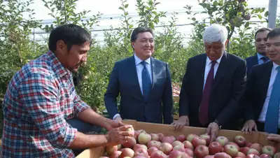 primeminister.kz, фото - Новости Zakon.kz от 20.09.2019 22:39