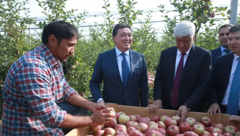 Премьер-министр РК Аскар Мамин с рабочей поездкой посетил Алматинскую область