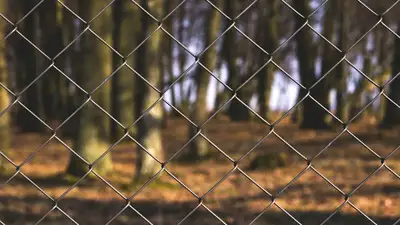 Канал нелегальной миграции из Южной Азии перекрыли в Костанайской области, фото - Новости Zakon.kz от 22.08.2023 11:23