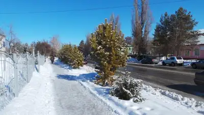 Zakon.kz, фото - Новости Zakon.kz от 13.11.2015 12:46