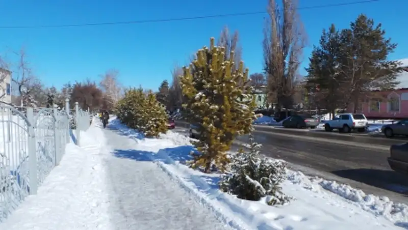 Аким Талдыкоргана оценил качество работ по подготовке к зиме