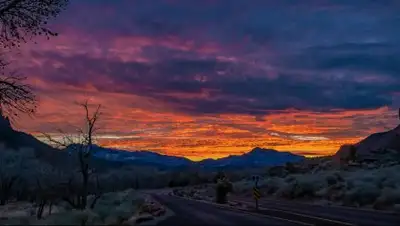 CC0 Public Domain, фото - Новости Zakon.kz от 29.01.2019 18:39