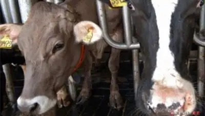 Zakon.kz, фото - Новости Zakon.kz от 22.10.2014 16:39