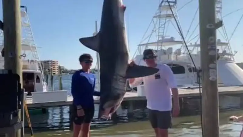 Огромную акулу поймал подросток