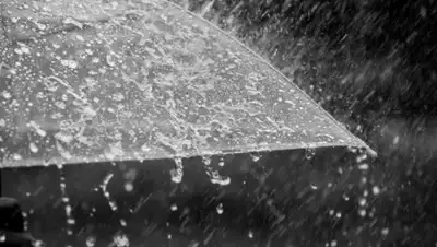 LIGA.net, фото - Новости Zakon.kz от 17.06.2020 12:21